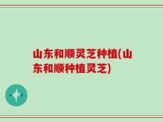 山东和顺灵芝种植(山东和顺种植灵芝)