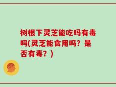 树根下灵芝能吃吗有毒吗(灵芝能食用吗？是否有毒？)