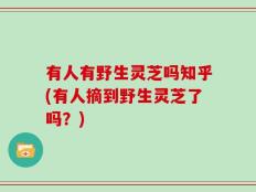 有人有野生灵芝吗知乎(有人摘到野生灵芝了吗？)
