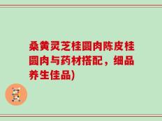 桑黄灵芝桂圆肉陈皮桂圆肉与药材搭配，细品养生佳品)