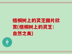 梧桐树上的灵芝图片欣赏(梧桐树上的灵芝：自然之美)