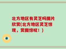 北方地区有灵芝吗图片欣赏(北方地区灵芝惊现，赏图惊叹！)