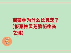 板栗林为什么长灵芝了(板栗林灵芝繁衍生长之谜)