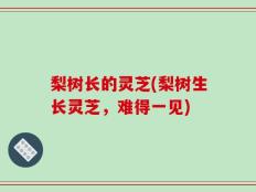 梨树长的灵芝(梨树生长灵芝，难得一见)