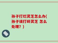 孙子打烂灵芝怎么办(孙子误打碎灵芝 怎么处理？)