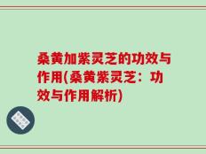 桑黄加紫灵芝的功效与作用(桑黄紫灵芝：功效与作用解析)