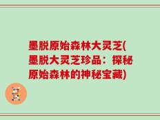 墨脱原始森林大灵芝(墨脱大灵芝珍品：探秘原始森林的神秘宝藏)