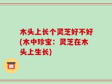 木头上长个灵芝好不好(木中珍宝：灵芝在木头上生长)
