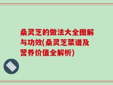桑灵芝的做法大全图解与功效(桑灵芝菜谱及营养价值全解析)