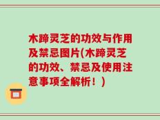 木蹄灵芝的功效与作用及禁忌图片(木蹄灵芝的功效、禁忌及使用注意事项全解析！)