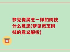 梦见像灵芝一样的树枝什么意思(梦见灵芝树枝的意义解析)