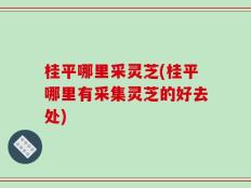 桂平哪里采灵芝(桂平哪里有采集灵芝的好去处)