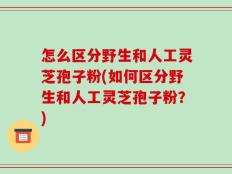 怎么区分野生和人工灵芝孢子粉(如何区分野生和人工灵芝孢子粉？)