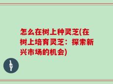 怎么在树上种灵芝(在树上培育灵芝：探索新兴市场的机会)