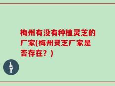 梅州有没有种植灵芝的厂家(梅州灵芝厂家是否存在？)