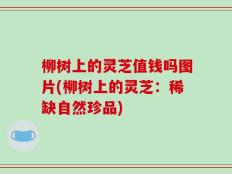 柳树上的灵芝值钱吗图片(柳树上的灵芝：稀缺自然珍品)