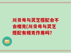川贝母与灵芝搭配会不会相克(川贝母与灵芝搭配有相克作用吗？