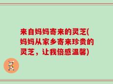 来自妈妈寄来的灵芝(妈妈从家乡寄来珍贵的灵芝，让我倍感温馨)