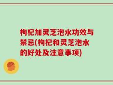 枸杞加灵芝泡水功效与禁忌(枸杞和灵芝泡水的好处及注意事项)