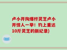 卢小开掏爆杆灵芝卢小开惊人一举！钓上重达10斤灵芝的新纪录)