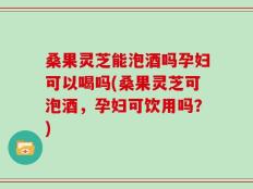 桑果灵芝能泡酒吗孕妇可以喝吗(桑果灵芝可泡酒，孕妇可饮用吗？)