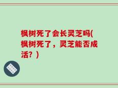 枫树死了会长灵芝吗(枫树死了，灵芝能否成活？)