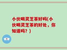 小伙喝灵芝茶好吗(小伙喝灵芝茶的好处，你知道吗？)