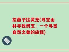 捡菌子捡灵芝(寻宝山林寻找灵芝：一个寻觅自然之美的旅程)