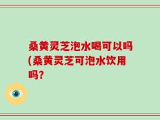 桑黄灵芝泡水喝可以吗(桑黄灵芝可泡水饮用吗？