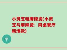 小灵芝和麻辣烫(小灵芝与麻辣烫：同桌餐厅新爆款)