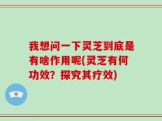 我想问一下灵芝到底是有啥作用呢(灵芝有何功效？探究其疗效)