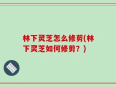 林下灵芝怎么修剪(林下灵芝如何修剪？)