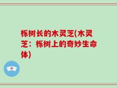 栎树长的木灵芝(木灵芝：栎树上的奇妙生命体)