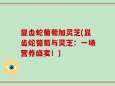 显齿蛇葡萄加灵芝(显齿蛇葡萄与灵芝：一场营养盛宴！)