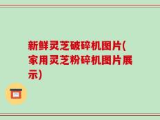 新鲜灵芝破碎机图片(家用灵芝粉碎机图片展示)