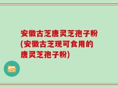 安徽古芝唐灵芝孢子粉(安徽古芝现可食用的唐灵芝孢子粉)