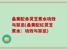 桑黄配赤灵芝煮水功效与禁忌(桑黄配红灵芝煮水：功效与禁忌)