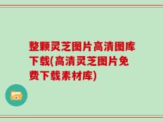 整颗灵芝图片高清图库下载(高清灵芝图片免费下载素材库)