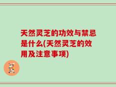 天然灵芝的功效与禁忌是什么(天然灵芝的效用及注意事项)