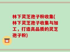 林下灵芝孢子粉收集(林下灵芝孢子收集与加工，打造高品质的灵芝孢子粉)