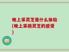 晚上采灵芝是什么体验(晚上采摘灵芝的感受)