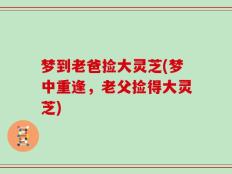 梦到老爸捡大灵芝(梦中重逢，老父捡得大灵芝)