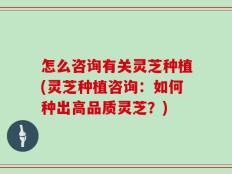 怎么咨询有关灵芝种植(灵芝种植咨询：如何种出高品质灵芝？)