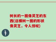 树长的一圈像灵芝的东西(这棵树一圈的形状像灵芝，令人惊叹)