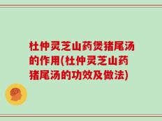 杜仲灵芝山药煲猪尾汤的作用(杜仲灵芝山药猪尾汤的功效及做法)