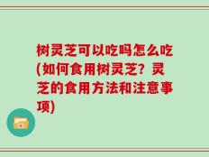 树灵芝可以吃吗怎么吃(如何食用树灵芝？灵芝的食用方法和注意事项)