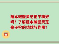 蕴本破壁灵芝孢子粉好吗？了解蕴本破壁灵芝孢子粉的功效与作用？