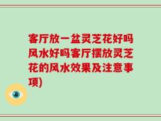 客厅放一盆灵芝花好吗风水好吗客厅摆放灵芝花的风水效果及注意事项)