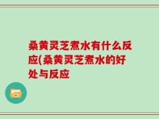 桑黄灵芝煮水有什么反应(桑黄灵芝煮水的好处与反应