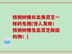 核桃树根长出像灵芝一样的东西(惊人发现！核桃树根生出灵芝般结构物！)